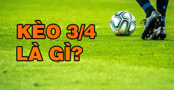 Thông tin về bằng lái xe hạng Bet888: Làm thế nào để có được? Ai cấp bằng lái? - Bet888