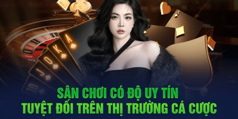 Các đại lý cấp Betvn sẽ nhận được tài liệu tiếp thị - Betvn