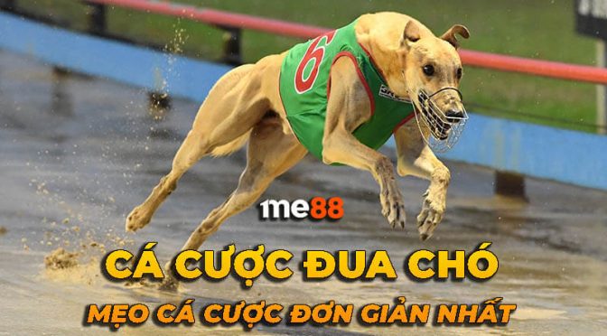 8Kbet Online cung cấp nhiều ưu đãi hấp dẫn cho tất cả thành viên - 8Kbet