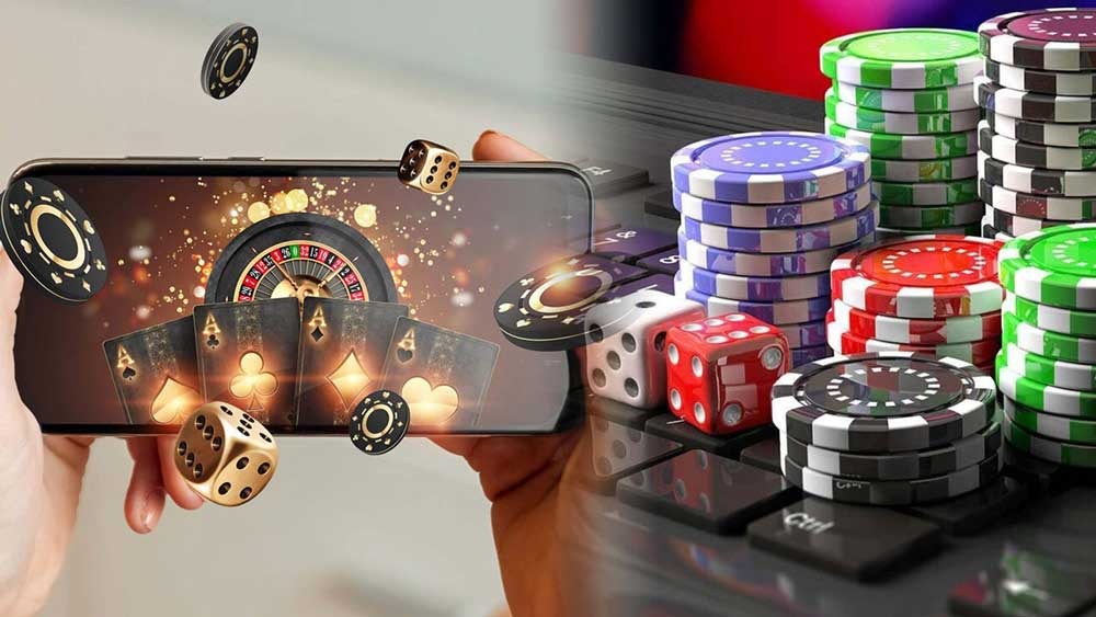 Đội ngũ chuyên gia 365Vn - 365Vn