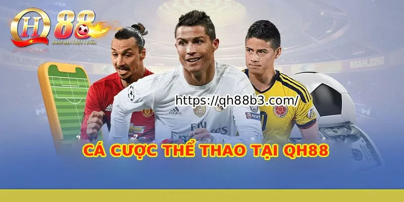 Dòng sản phẩm trò chơi Cmd368 - Cmd368