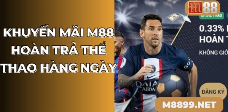 St666 sẽ xác minh và thanh toán phí cho người có thu nhập cao như thế nào? - St666