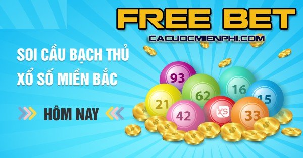 Vậy điều gì thực sự tạo nên sức hấp dẫn của hạng Dafabet? - Dafabet