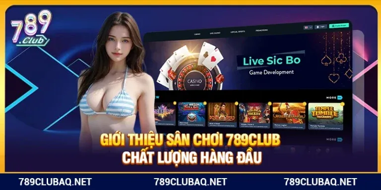 Hãy cùng điểm qua một số sản phẩm phổ biến của Suncity - Suncity