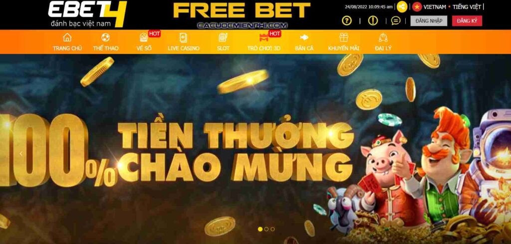 Những ưu điểm độc quyền của ứng dụng di động cấp Vesovn vào năm 2026 - Vesovn