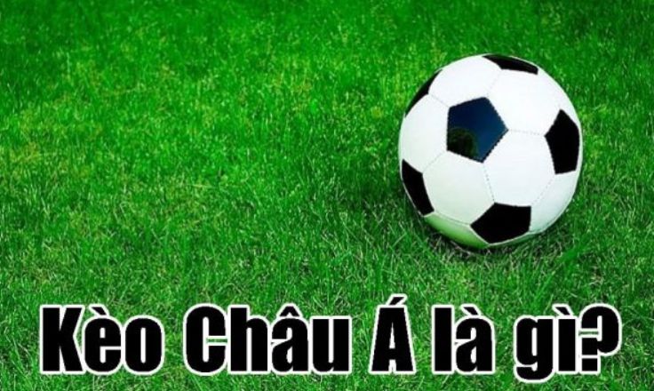 Bộ sưu tập này bao gồm các trò chơi thể thao được xếp hạng Vg99 - Vg99