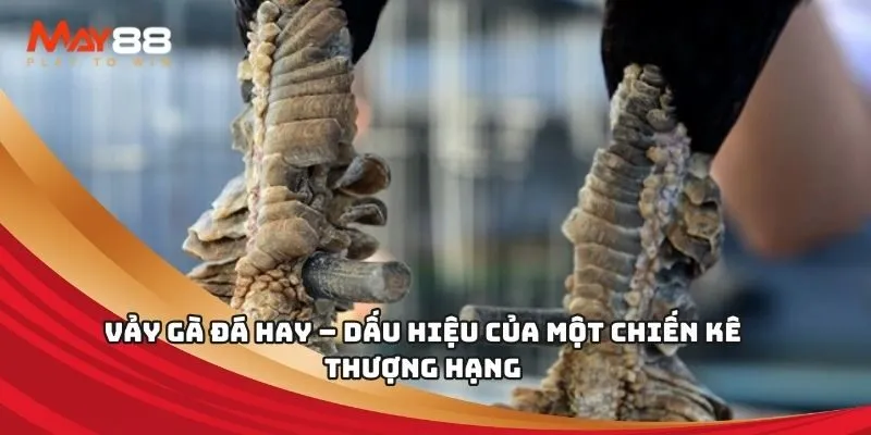 Bảo mật giao dịch tài chính 85Win - 85Win