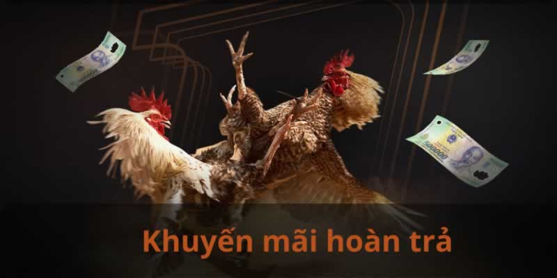 Chính sách ưu đãi cấp độ 98Win cực kỳ hấp dẫn - 98Win