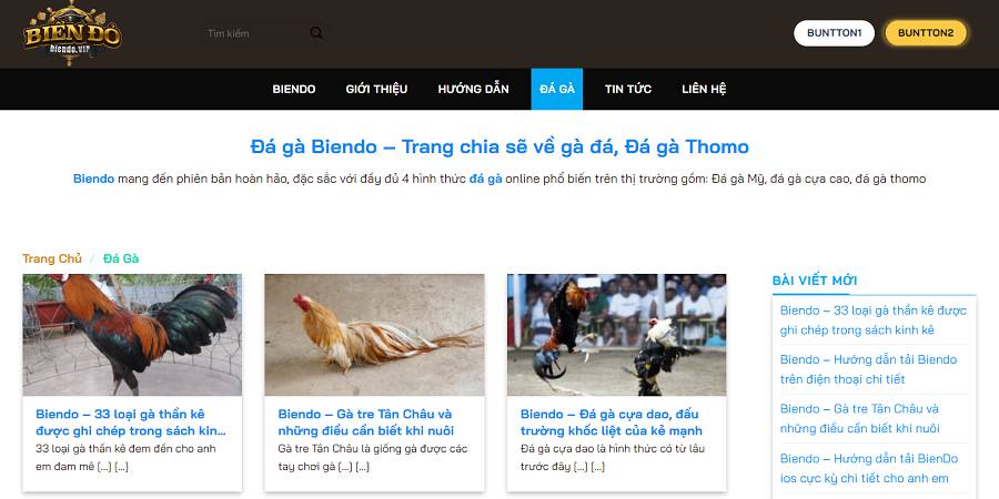 Hé lộ bí quyết để nhanh chóng đạt điểm R98 - R98