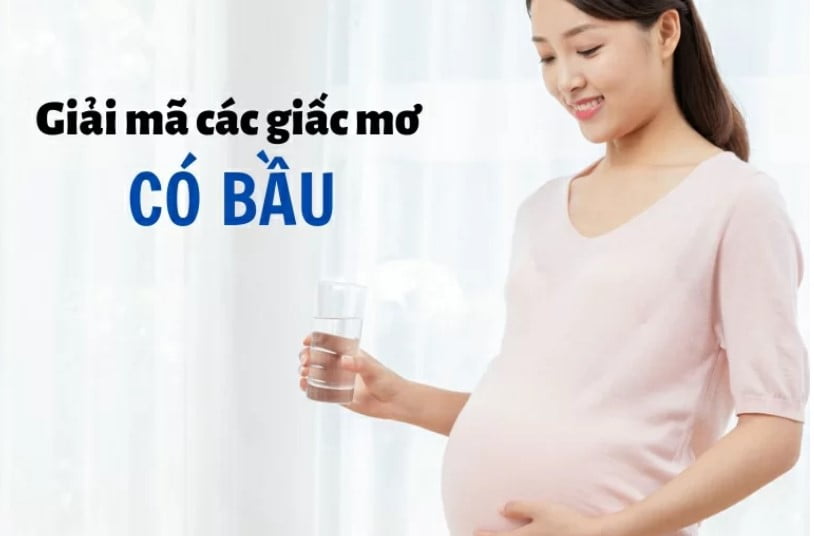 Một nền tảng trực tuyến cao cấp đạt chuẩn Ev8 - Ev8
