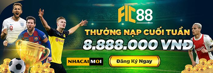 Ứng dụng Dd7: Một cộng đồng và nền tảng tương tác dành cho game thủ - Dd7
