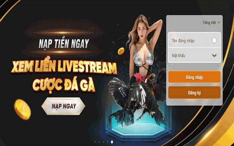 Chất lượng dịch vụ do Công ty Xin88 Games cung cấp - Xin88