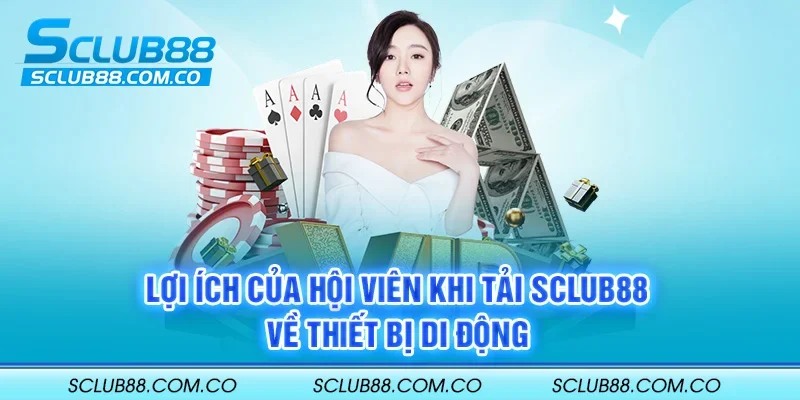 Lắp đặt Câu lạc bộ B52 - B52