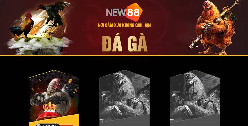 Keonhacai hiện đang cung cấp các dịch vụ sau: - Keonhacai