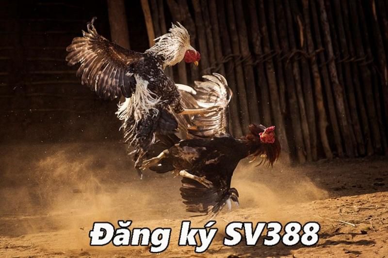 Hướng dẫn cách nạp tiền vào tài khoản 88Xeng thông qua ngân hàng địa phương - 88Xeng