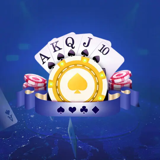 Hiện nay, Sân chọi gà Tomo đã phát triển thành một sân chọi gà hiện đại đạt tiêu chuẩn 7Ball - 7Ball